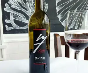 opened bottle of wine and a wine glass