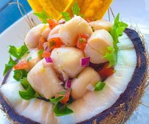 fresh scallop dish