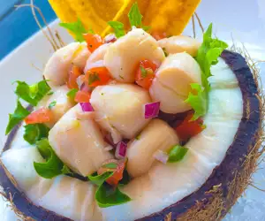 fresh scallop dish