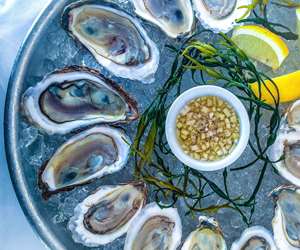 platter of fresh oysters